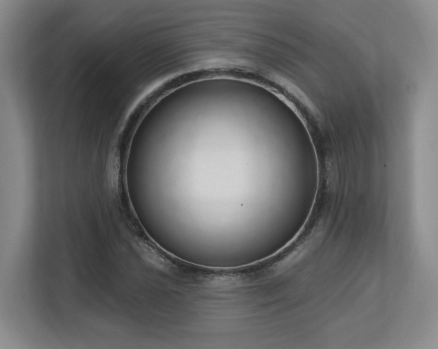 X0000112741021200908201342