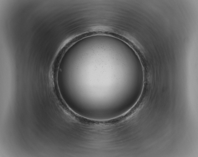 X0000112741022200908201342