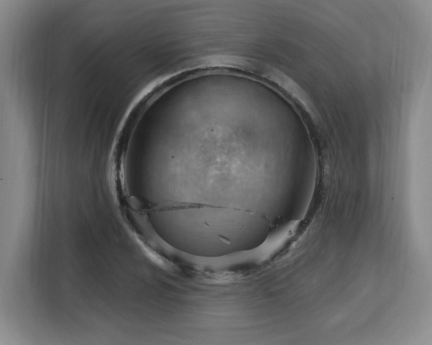 X0000112741024200908201342