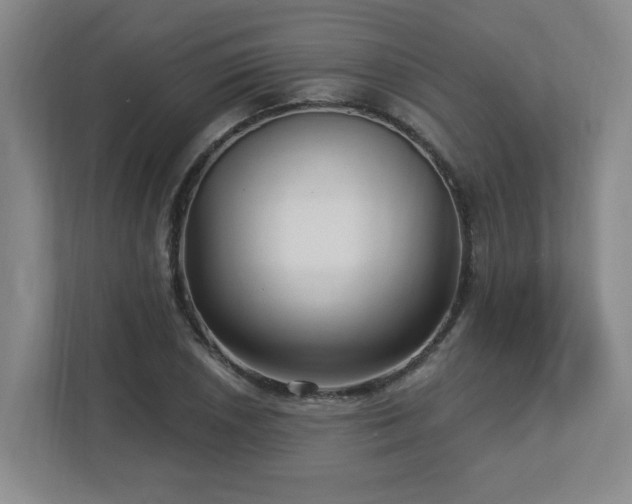 X0000112741026200908201342