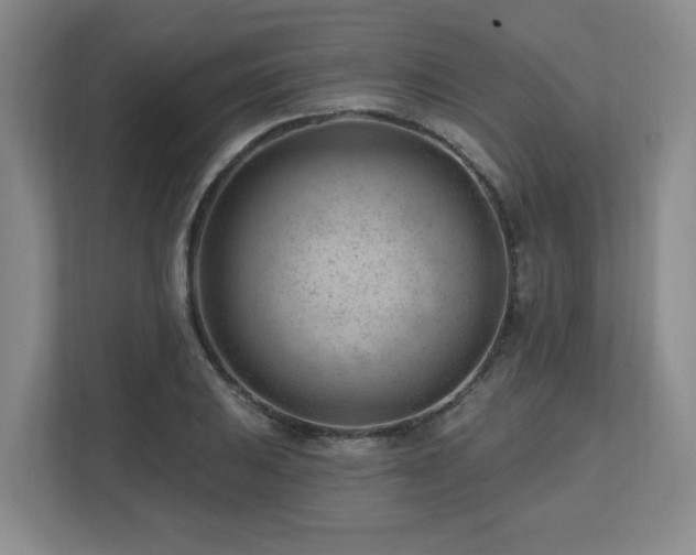 X0000112741031200908201342