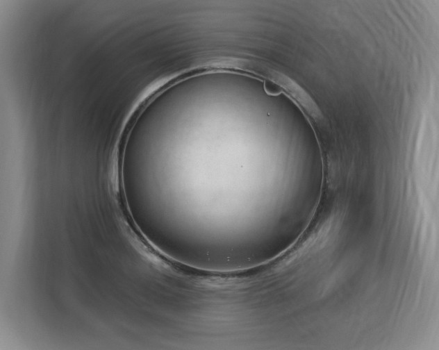 X0000112741036200908201342