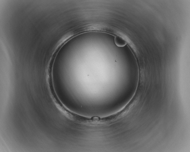 X0000112741042200908201342