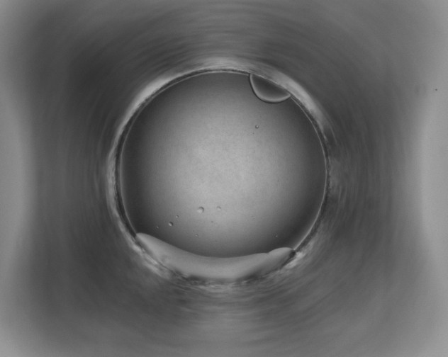 X0000112741048200908201342