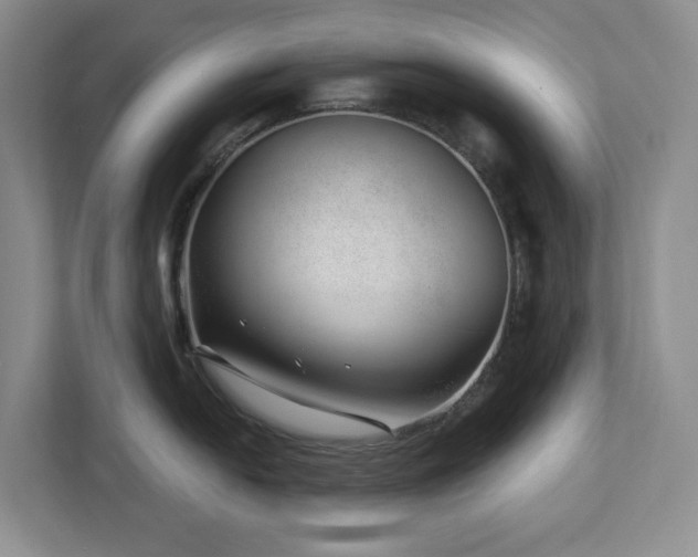 X0000112741054200908201342