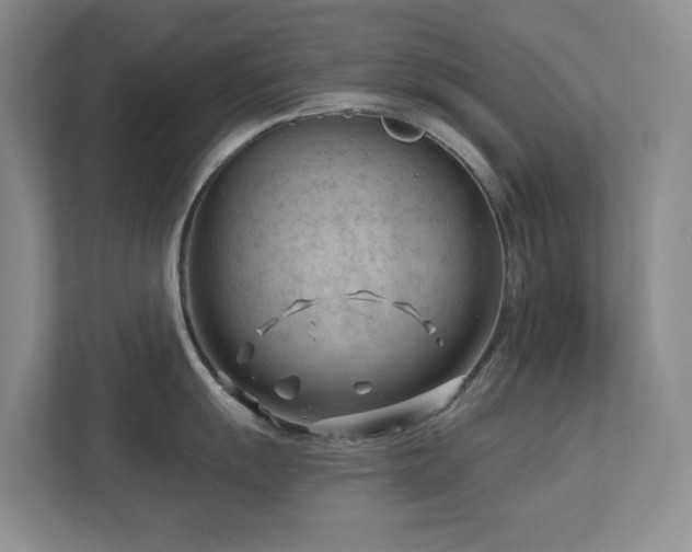 X0000112741055200908201342