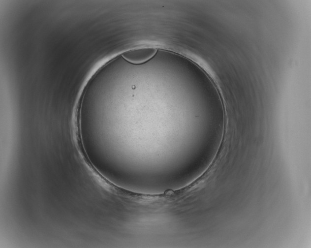 X0000112741056200908201342
