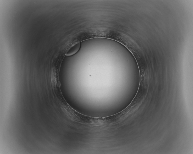 X0000112741058200908201342