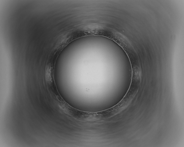 X0000112741060200908201342