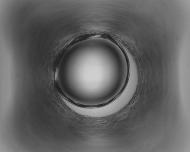 X0000112741061200908201342