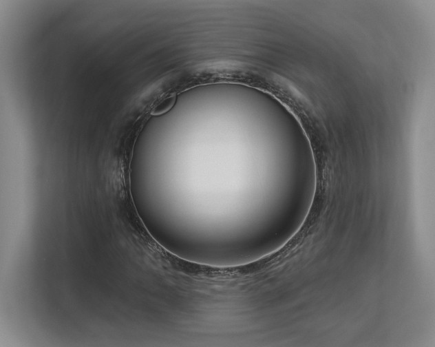 X0000112741062200908201342