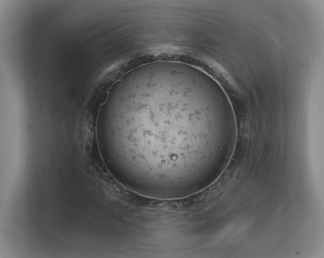 X0000112741063200908201342