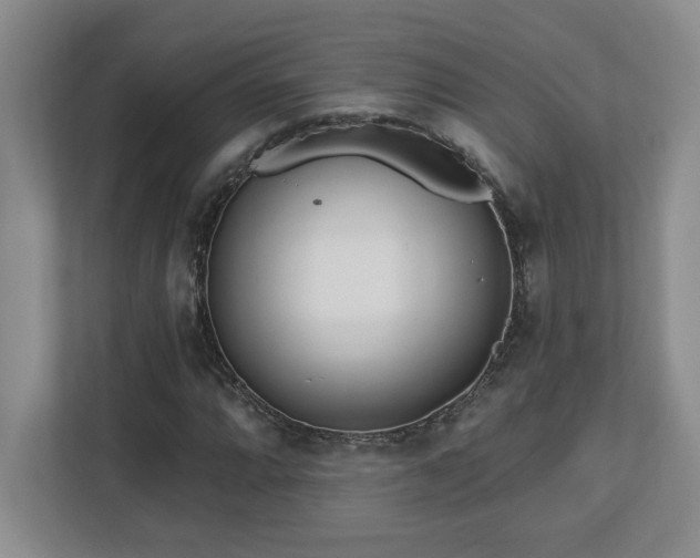 X0000112741064200908201342