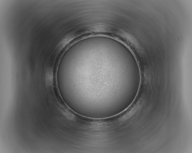 X0000112741065200908201342