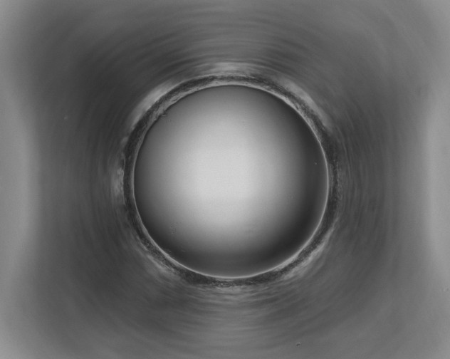 X0000112741066200908201342