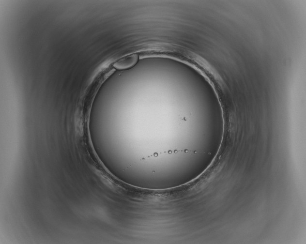 X0000112741067200908201342