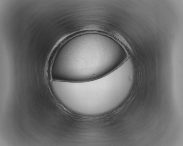 X0000112741068200908201342