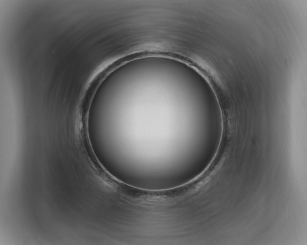 X0000112741070200908201342