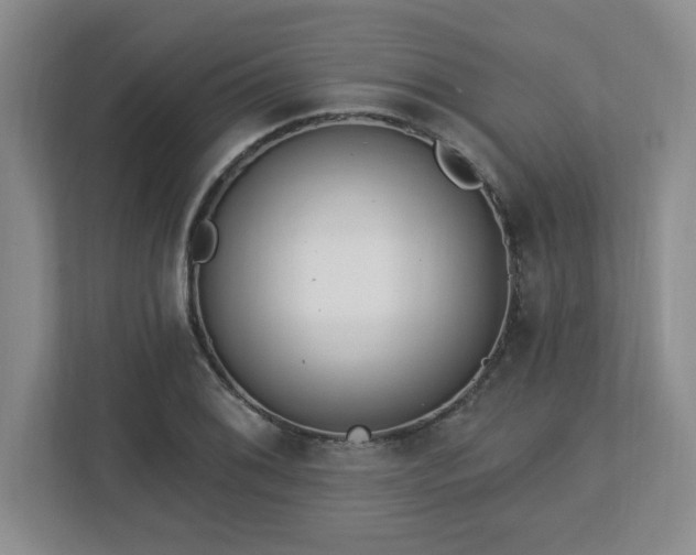 X0000112741076200908201342