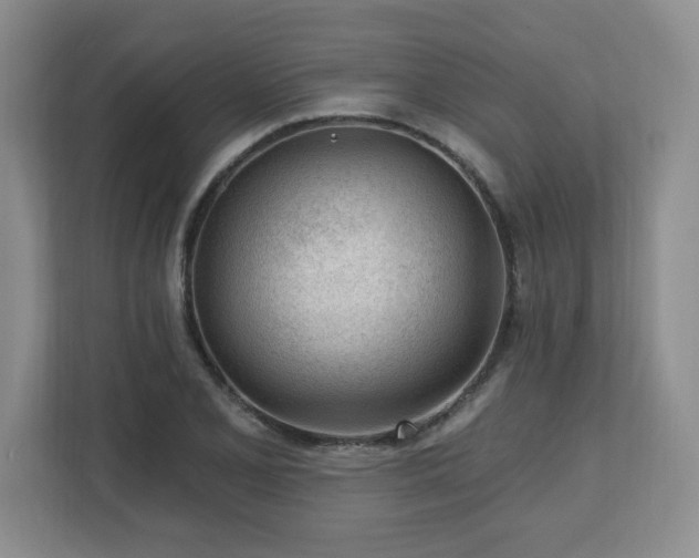 X0000112741077200908201342