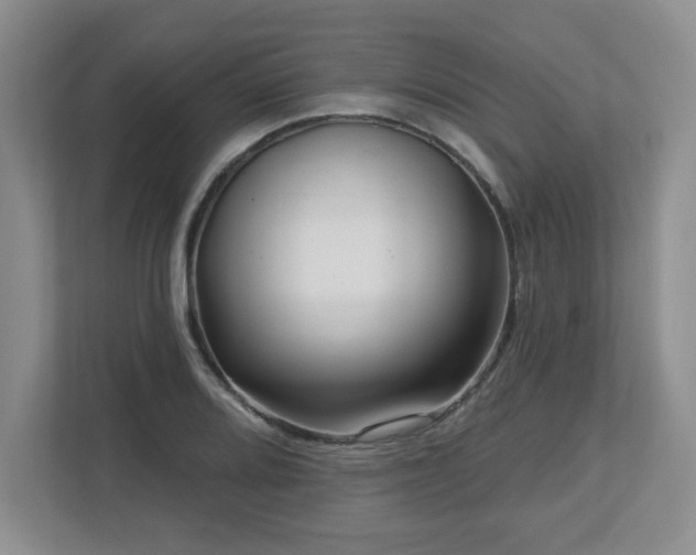 X0000112741080200908201341