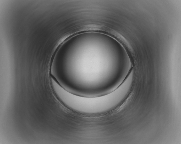 X0000112741081200908201341