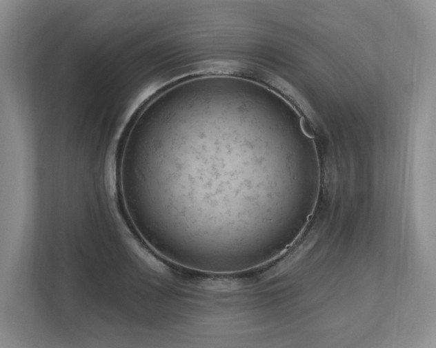 X0000112741083200908201341