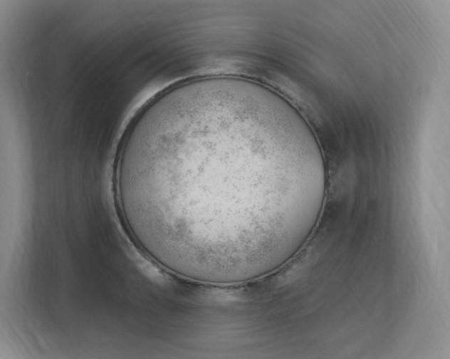 X0000112741086200908201341
