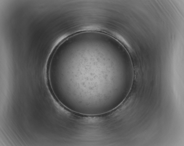 X0000112741087200908201341