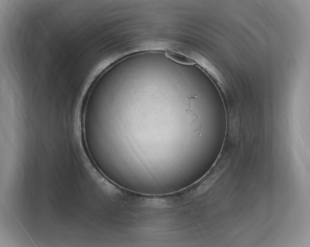 X0000112741088200908201341