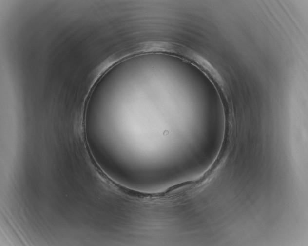 X0000112741089200908201341