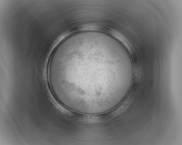 X0000112741090200908201341