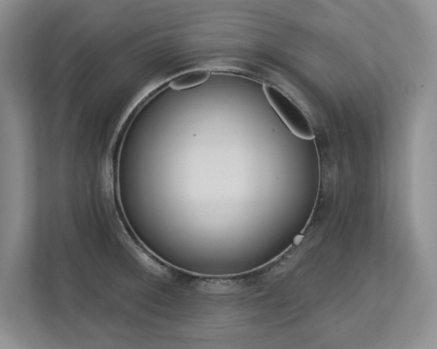 X0000112741092200908201341