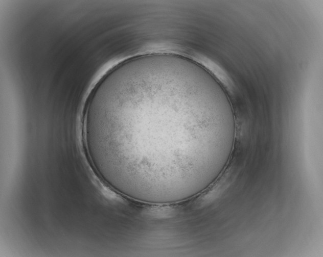 X0000112741094200908201341