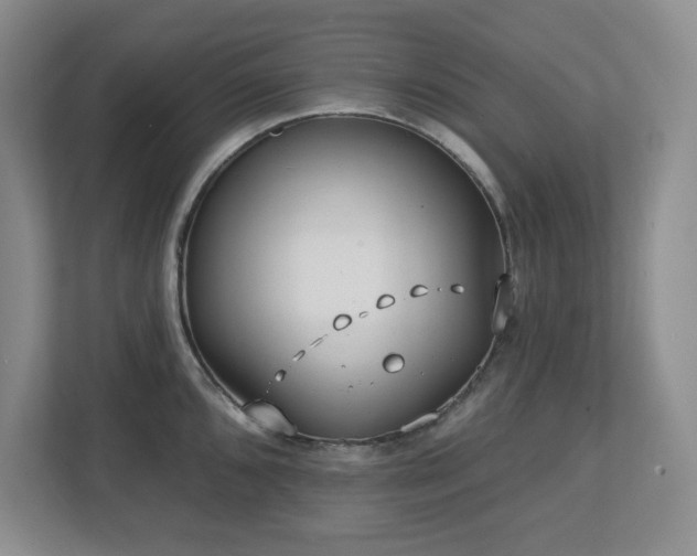 X0000112741096200908201341