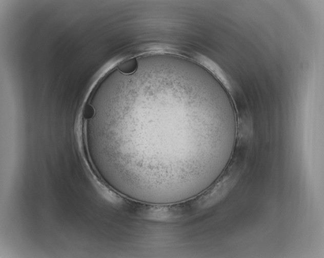 X0000112741098200908201341