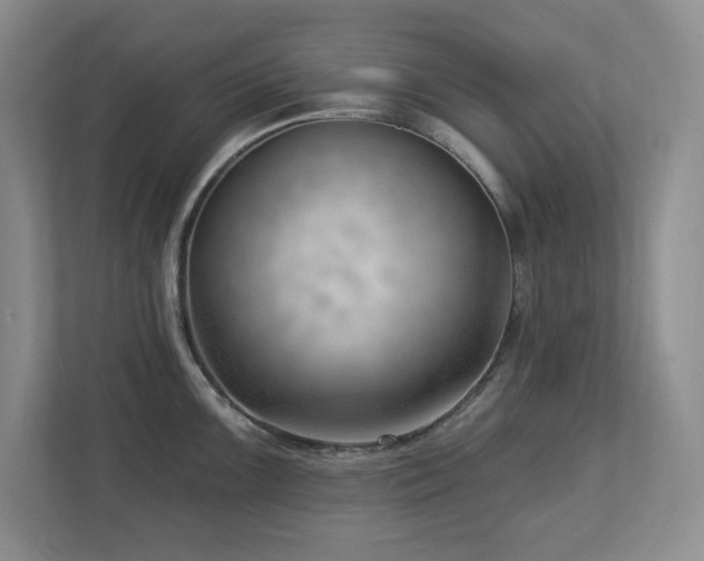 X0000112741099200908201341