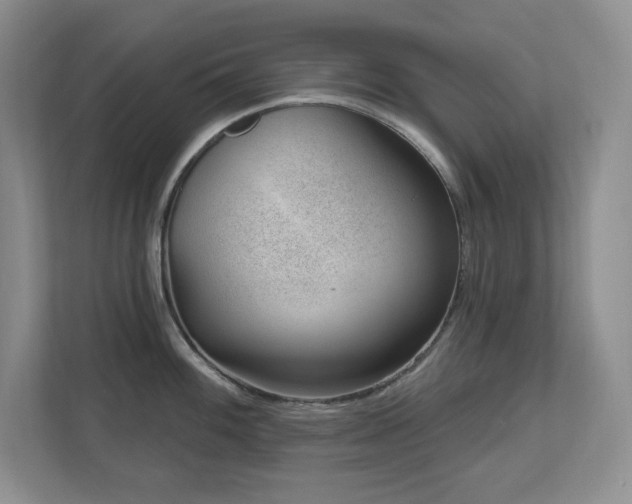 X0000112741100200908201341