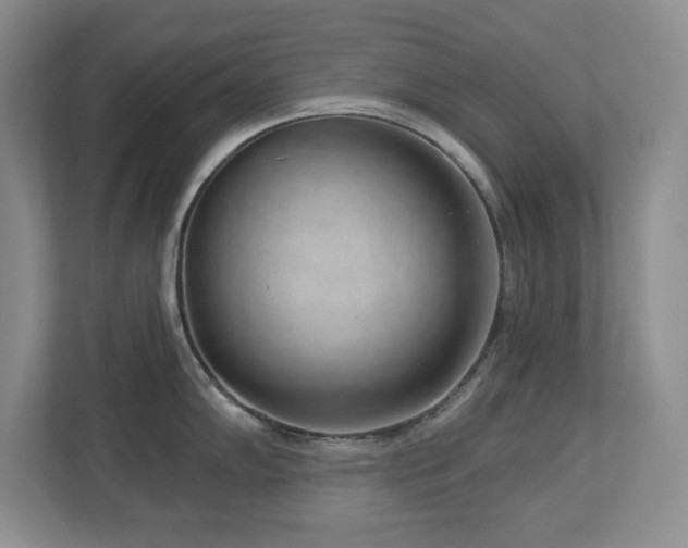 X0000112741102200908201341