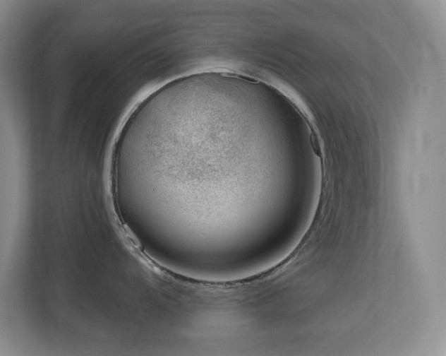 X0000112741104200908201341