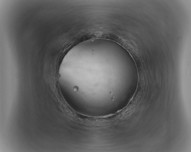 X0000112741105200908201341