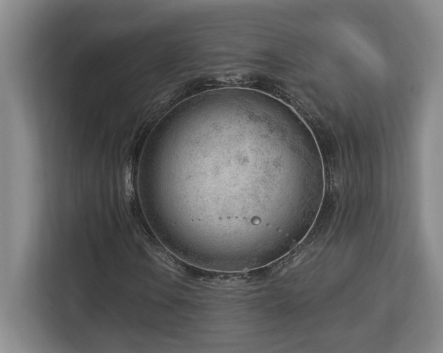 X0000112741106200908201341
