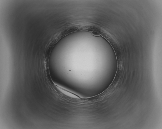 X0000112741108200908201341