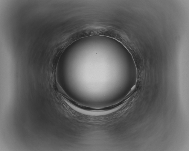 X0000112741109200908201341