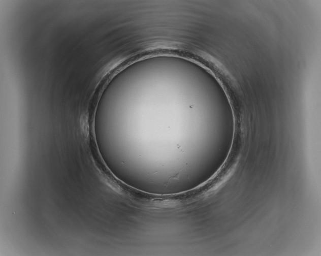X0000112741113200908201341