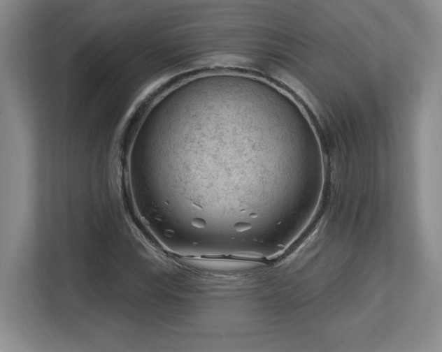 X0000112741115200908201341