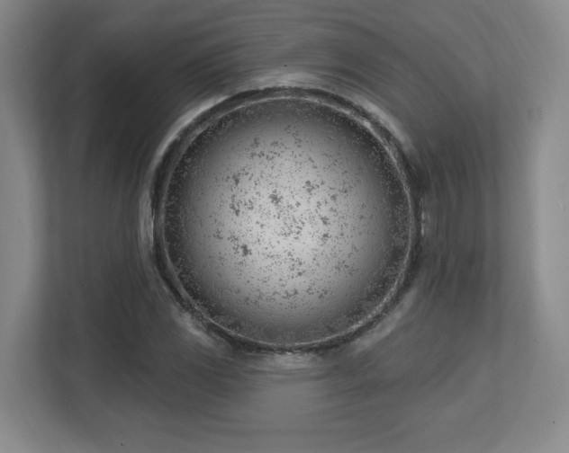 X0000112741117200908201341