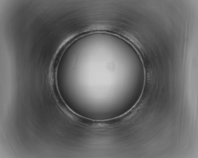 X0000112741119200908201341