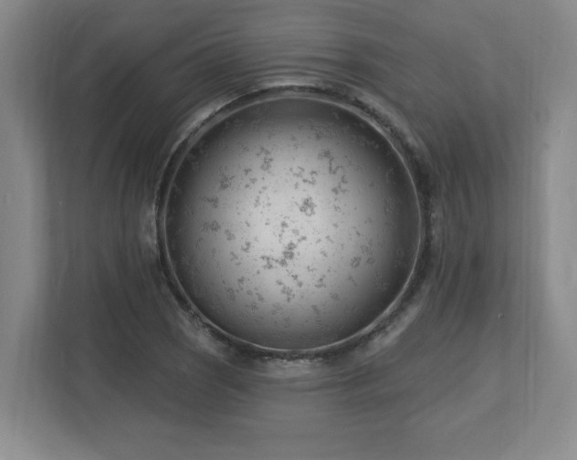 X0000112741121200908201341