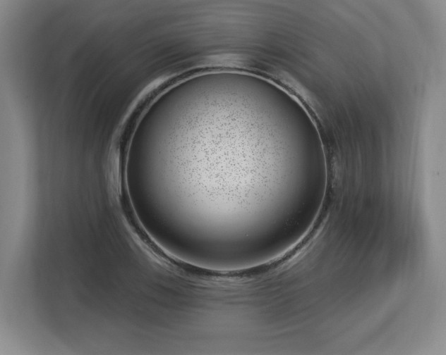 X0000112741123200908201341